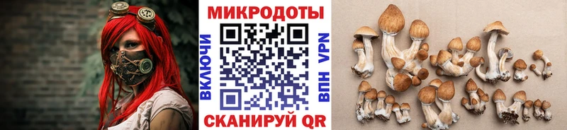 Псилоцибиновые грибы Magic Shrooms  Бикин 